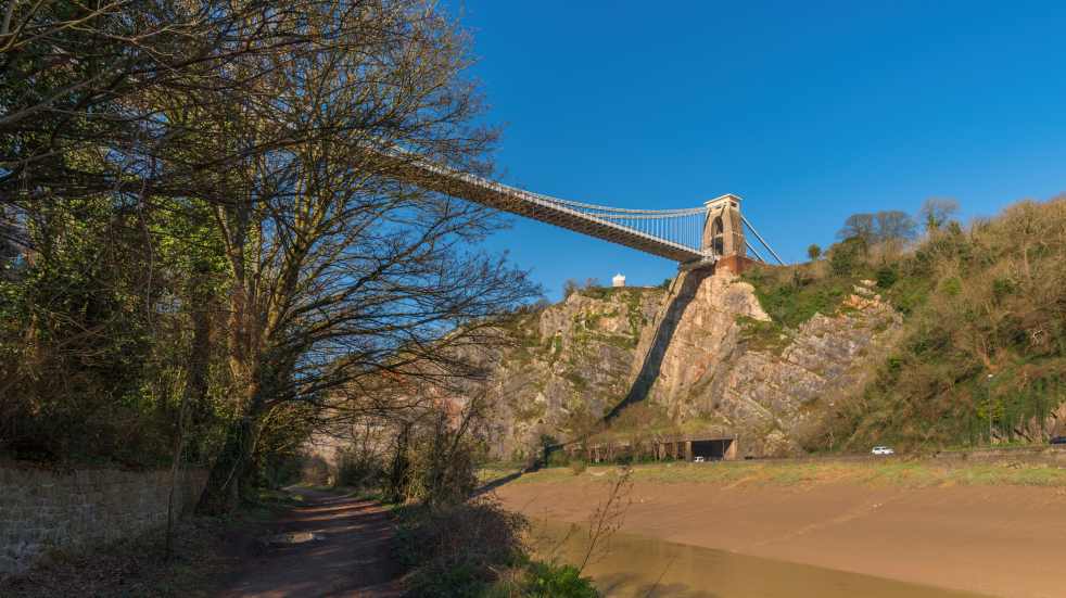 Peregrine falcons in Avon Gorge